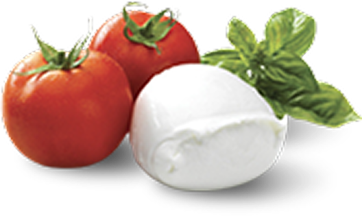 mozzerella 1 | Amoro