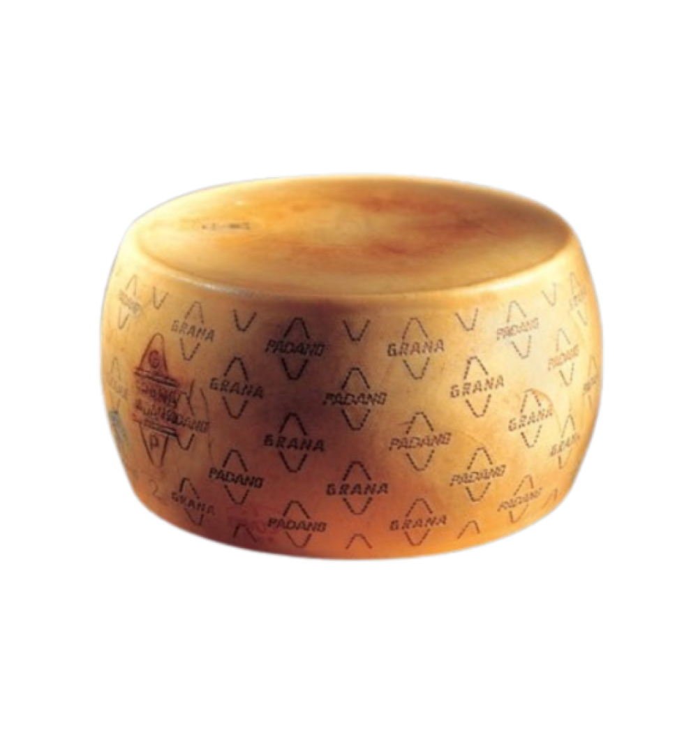 49-600x600-1.png
