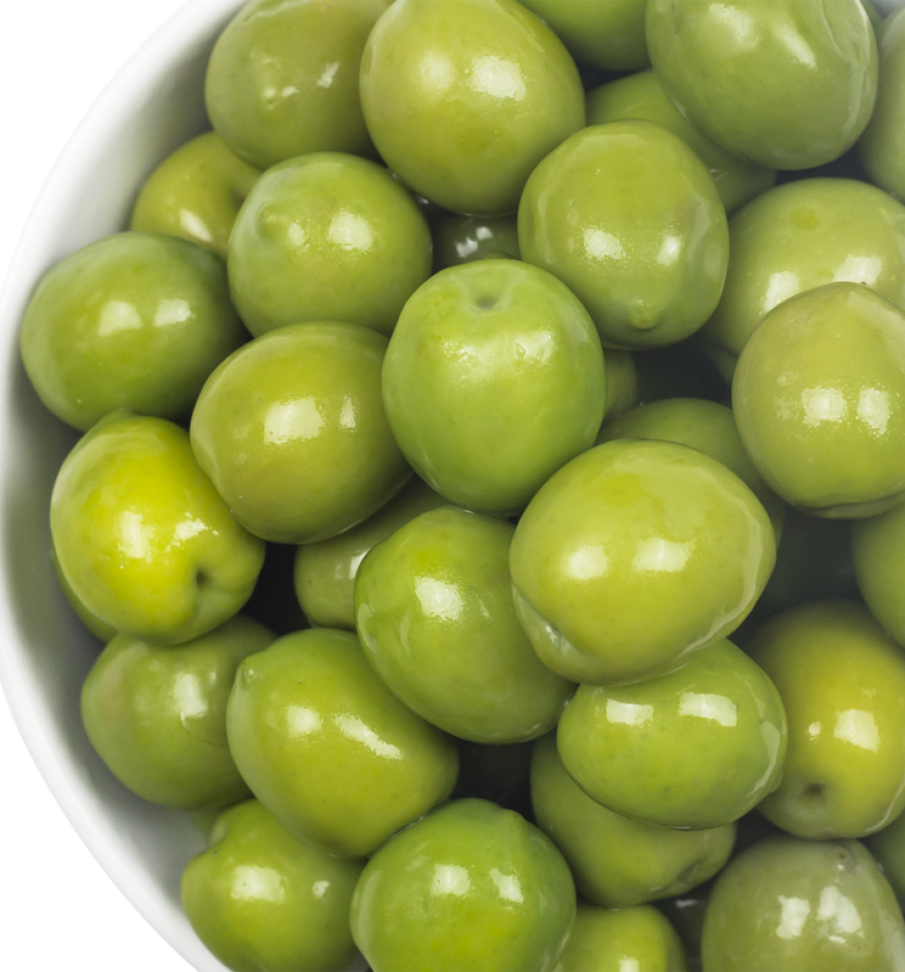 BU1018_1-1.png