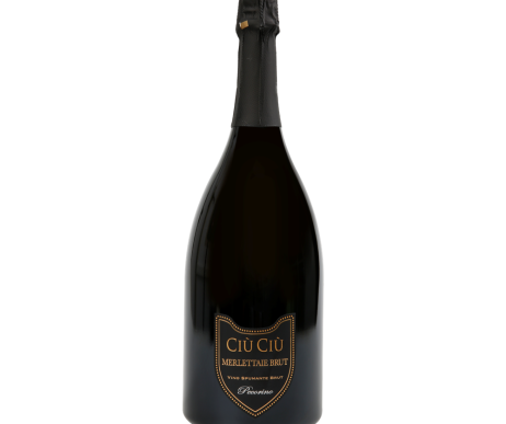 CiuCiu_CC2026_1.png