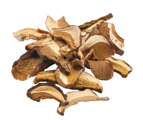 FG5001_1_Aforesta_2022_11-kopie-2.png
