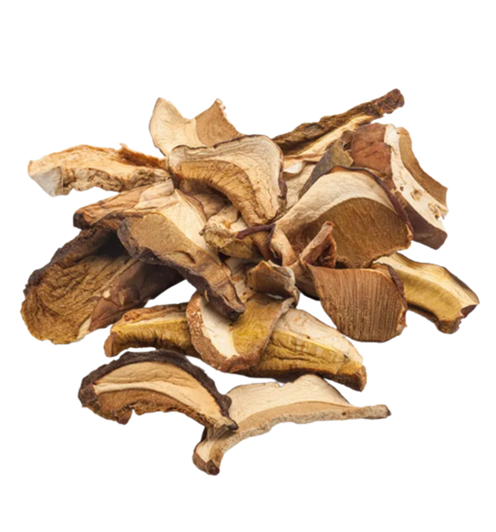 FG5001_1_Aforesta_2022_11-kopie-2.png