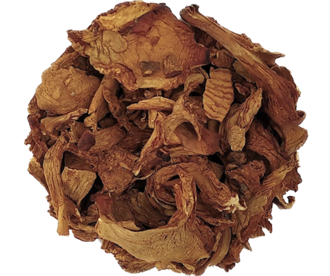 FG5006_1_Aforesta_2022_11.png