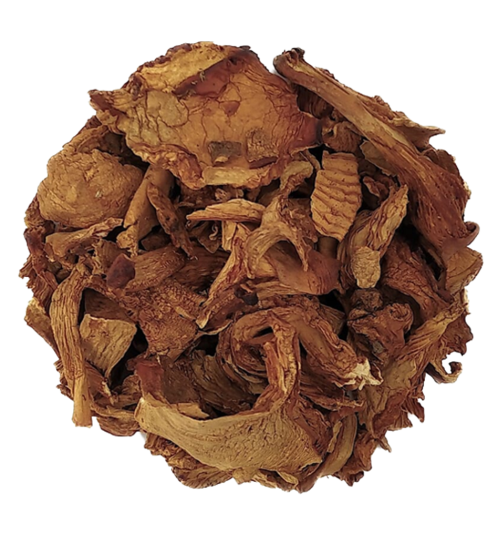 FG5006_1_Aforesta_2022_11.png