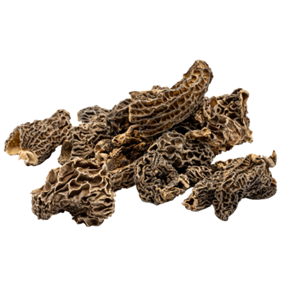 FG5010_1_Aforesta_2022_11.png