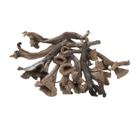 FG5018_1_Aforesta_2022_11.png