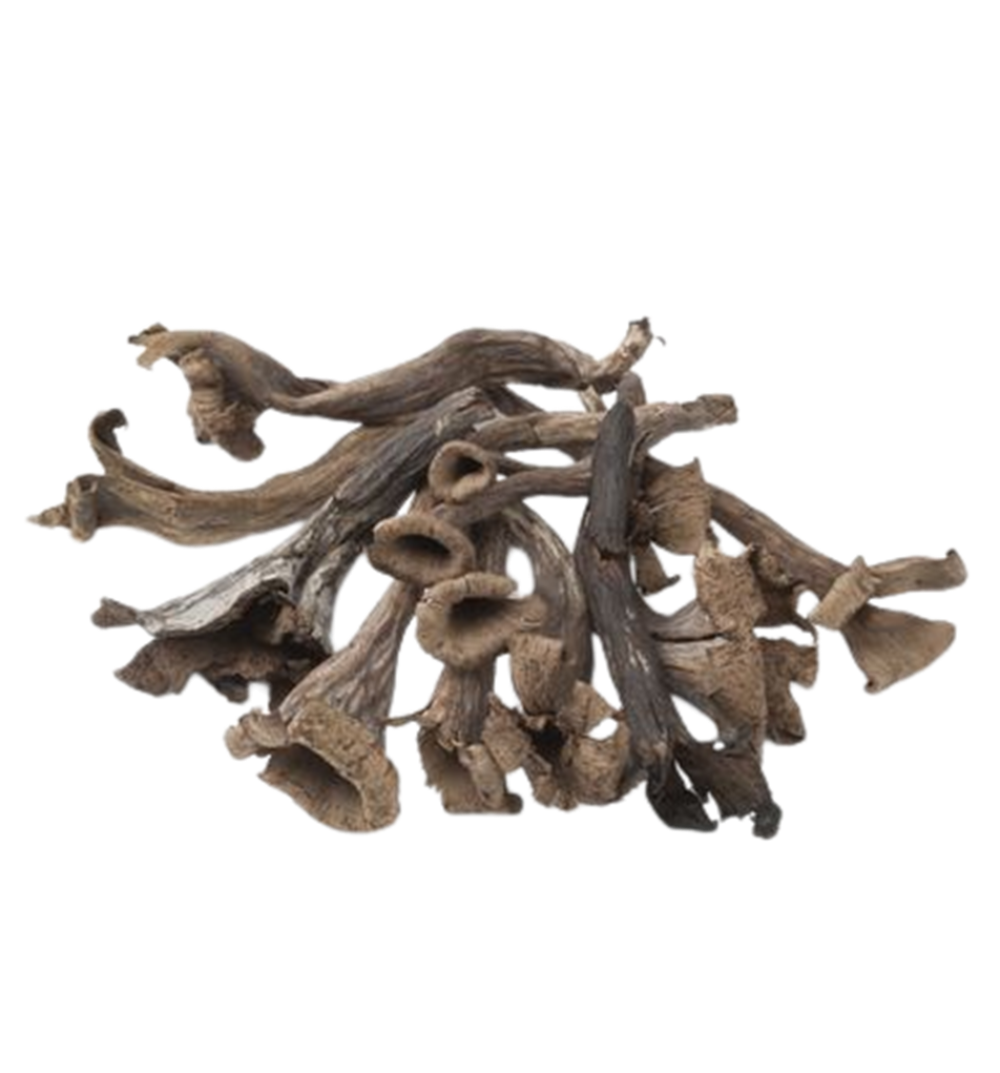 FG5018_1_Aforesta_2022_11.png