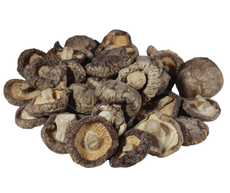FG5024_1_Aforesta_2022_11-kopie.png