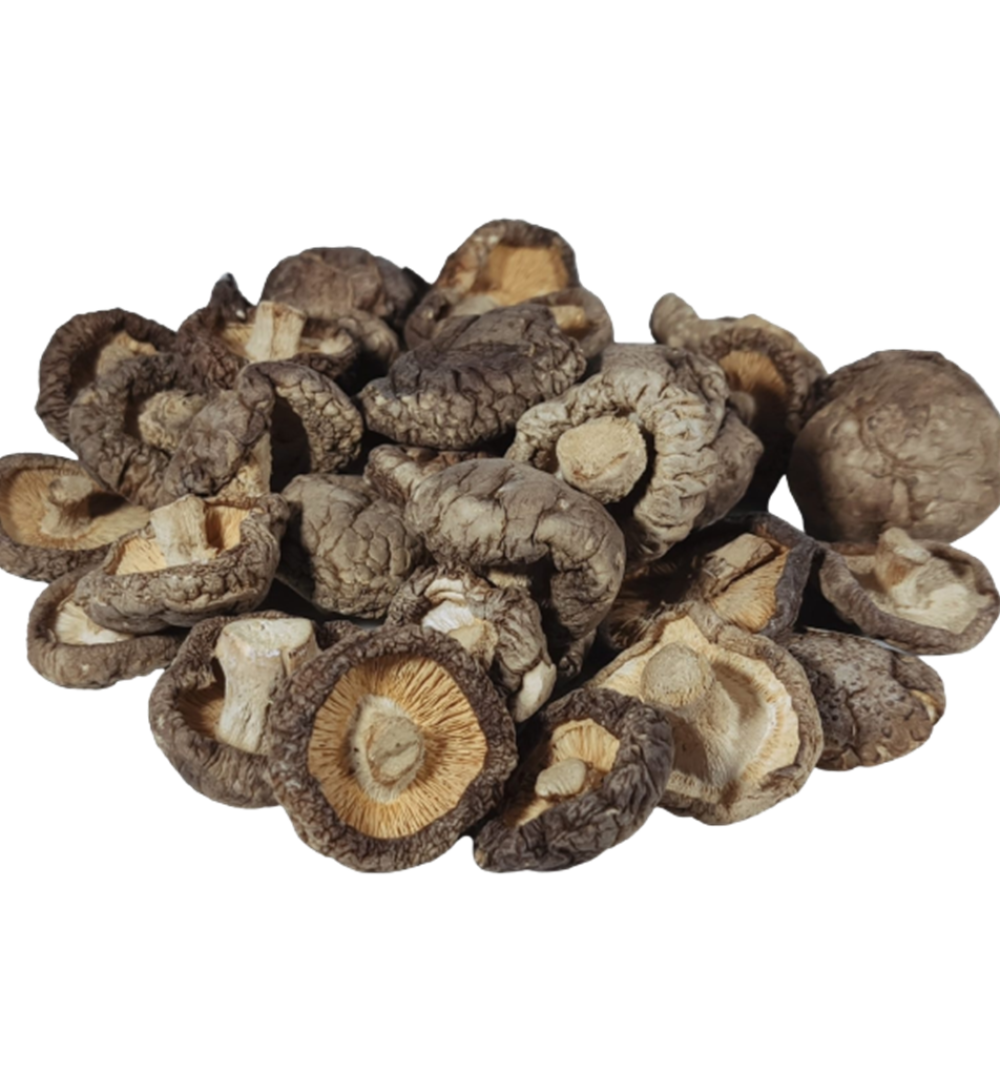 FG5024_1_Aforesta_2022_11-kopie.png