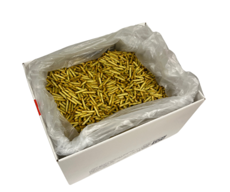 PA3113.png