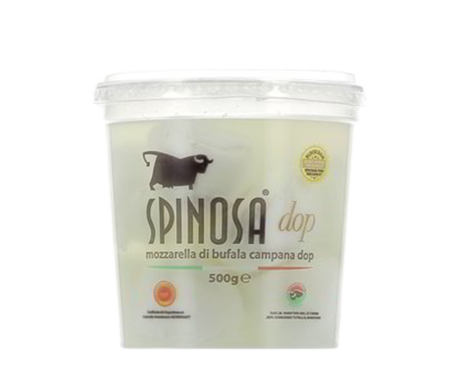 Spinosa_CS1005_1-e1657088905520.png