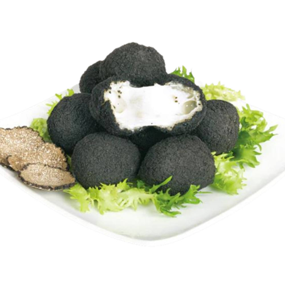 lascolana_LA4003_1.png