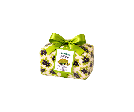 panettone tokyo style matcha ribes nero cioccolato bianco