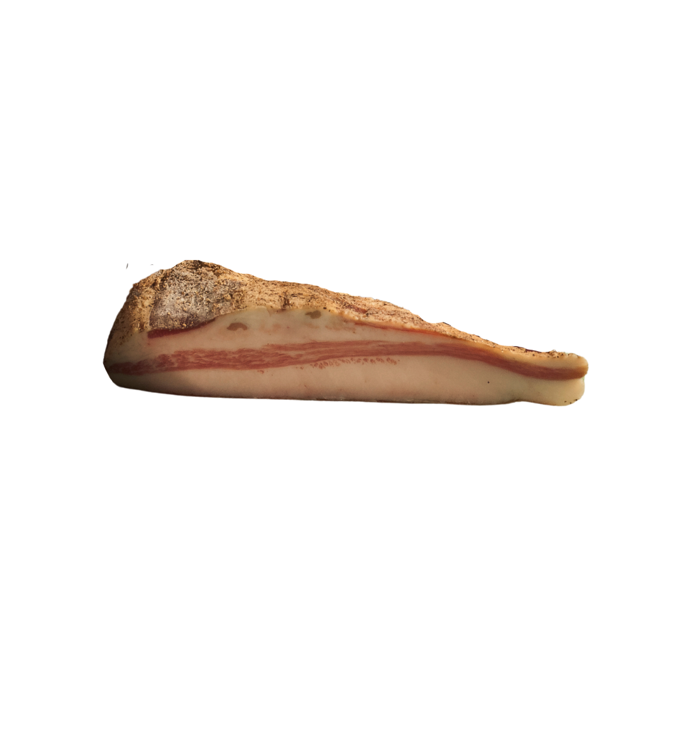 VI4008 guanciale visso vissana